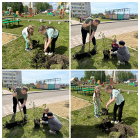 Акция «Посади дерево в детском саду, в честь 80-летия победы в Великой Отечественной Войне» Акция «Посади дерево в детском саду, в честь 80-летия победы в Великой Отечественной Войне».